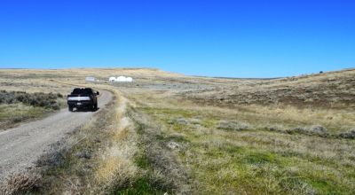 80 acres of Rolling Hills  only $49,000
