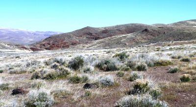 80 acres of Rolling Hills  only $49,000