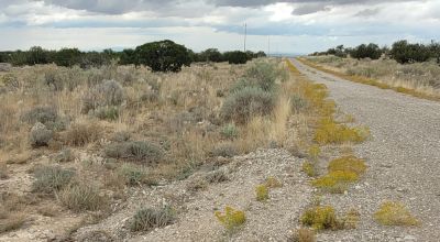 20 acres Scenic New Mexico Huge Southerly Views with Power at the Road