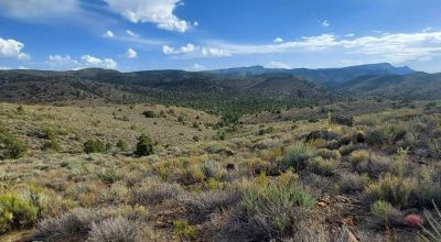 Arizona Mountain Land - 10 miles west of the Grand Canyon - 35 acres