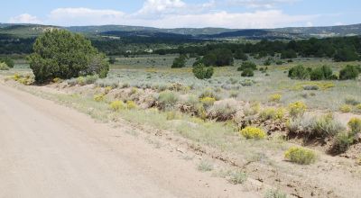 Rolling Hills Near mountains and Government lands Western New Mexico