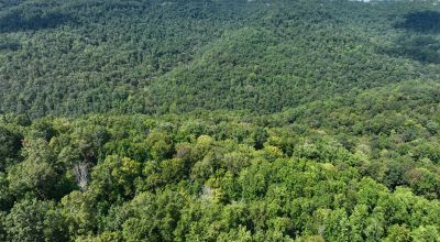 Discover Your Dream Escape in Fentress County, TN!