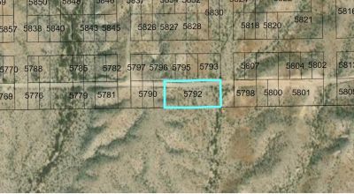 Presidio Texas - 2 adjoining lots - Buy individually or all together - No restrictions