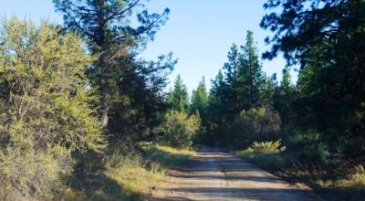 Adjoins Forest Service lands  3 treed lots * 2 together & 1 lot separted by a lot. Buy 1 or 2
