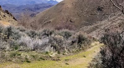 Historic Leadville Mines - 8 Patented Mining Claims Totally surrounded by Government lands