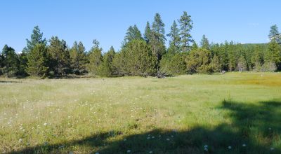 Unique and Rare Parcel Near Bly Mountain Pass - Borders  Pond - Meadows