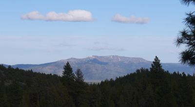 40 acre Forested parcel includes base of the hill and part of the hill - Views Trees