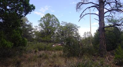 Timberon Residential Building Lot  1+ acre Trees - Corner Lot