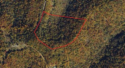 30 Acres For Sale in Braxton County West Virginia!