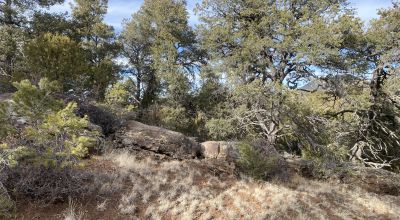 Rare! Bureau of Indian Affairs Inholding 40 acres - New Mexico