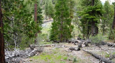 20 acres Oregon Forested Mountain land  near Lakeview & Drews Gap Summit