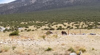 Huge Mt. Blanca and Sangre de Cristo Mountain views - Camp RV build