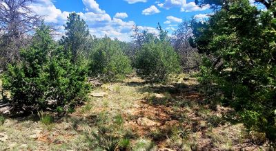 Trees - Huge Views - Over 2.5 Acres