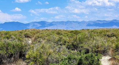 1 Full Section of  Nevada Desert & SAND HILLS  *  1 mile by 1 mile *