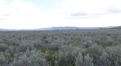 Scenic Oregon 160 acres wide open spaces