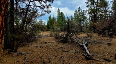 Level Building Lot Oregon - Camp - RV - Build