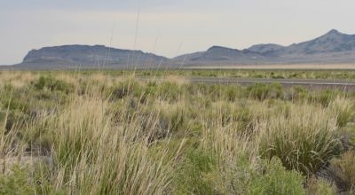 Beautiful Mountain Views, Clean Air, and Paved Road Access to tranquility in Elko County, Nevada!