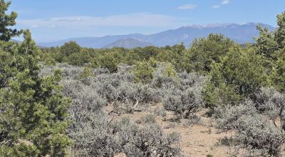 Taos County - Tres Piedras New Mexico 1 acre CAMP, RV, BUILD