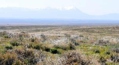 80 acres of Rolling Hills  only $49,000
