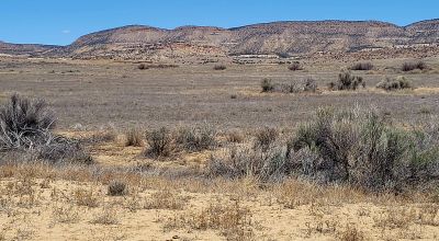 Hwy 509 Frontage - Power at road - Near Ambrosia Lake - Four 1-acre parcels available