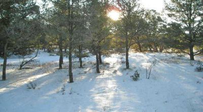 Candy Kitchen area New Mexico - Treed Parcel - Camp RV Build