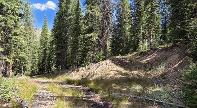 Ouray Colorado -  Red Mountain Mining District- 10 Acres Treed Mountain land