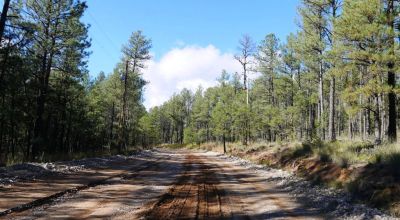 Treed Parcel - Developing area in Timberon - Residential