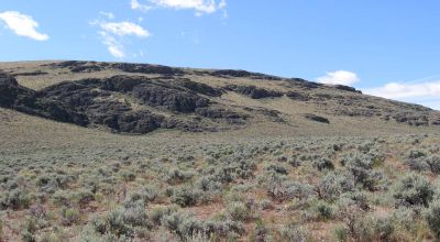 Remote Oregon Outback * Scenic 80 acres