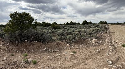 Off Grid Living - Build your own Earthship - Taos New Mexico