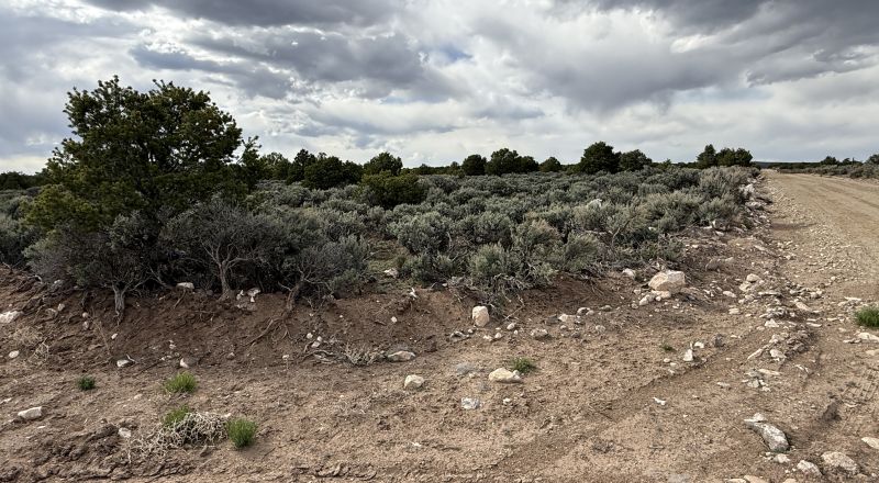 Off Grid Living - Build your own Earthship - Taos New Mexico