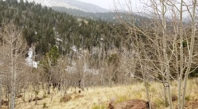 Cripple Creek Mountain Estates - Scenic Views - Residential parcel