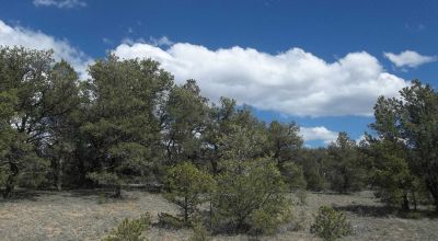 Candy Kitchen area New Mexico - Treed Parcel - Camp RV Build
