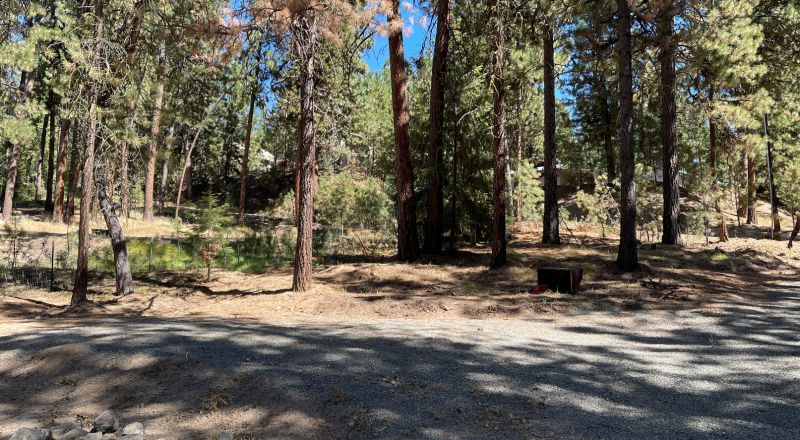 Sumpter Wooded lot - Two RV Pads - All Utilities - Walk to Town or Trails