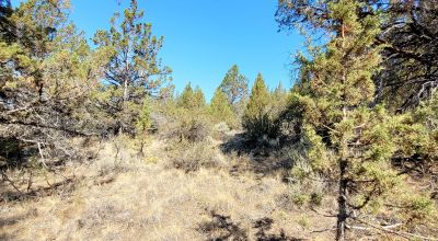 Sprague River Valley Views * Trees * Mobiles, modulars, site-builds ok