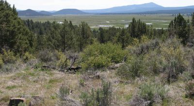 2 adjoining lots with wide open views of Sprague River and Valley