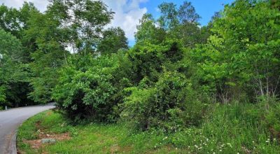 Premier golf & waterfront community lot nestled in the scenic mountains of East Tennessee