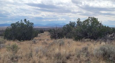 20 acres Scenic New Mexico Huge Southerly Views with Power at the Road