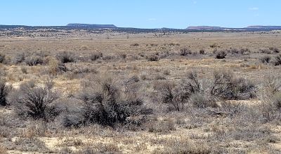 Scenic New Mexico Desert 25 miles N-NW of Grants - 1 acre parcels - Camp RV Build