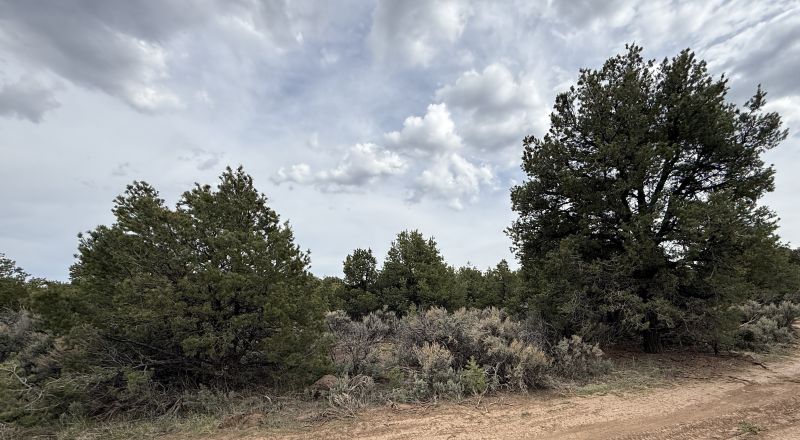 Secluded - Off the beaten path - Off Grid living 1/2 acre Taos New Mexico land
