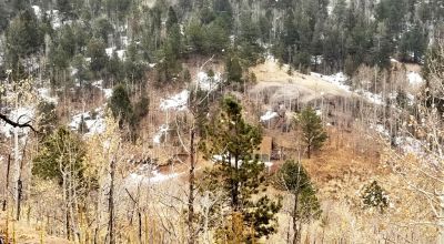 Cripple Creek Mountain Estates - Scenic Views - Residential parcel