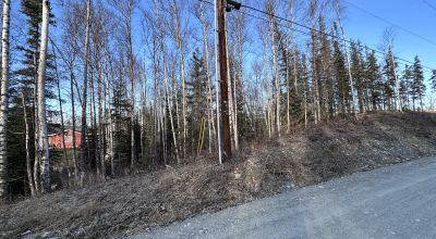 Residential Treed Parcel - Western Outskirts Wasilla Alaska - Backs to Open Space