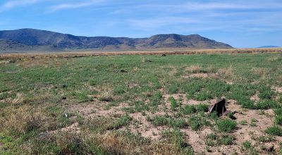 30 acres East of Manassa Colorado - No restrictions