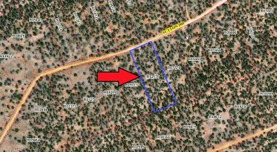 Trees - Huge Views - Over 2.5 Acres