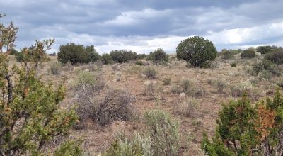 30 acre Central New Mexico Property Windmill Ranch Excellent Roads. Power at Road