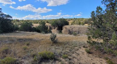 Treed Parcel - Arroyo at Back Property Line - Views - Near 2 Lakes
