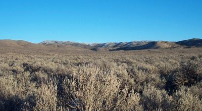 40 acre Mini ranch in the Hills West of Montello