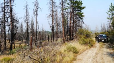 2 adjoining undeveloped residential Lots near Beatty Oregon  * REDUCED due to fire several years ago