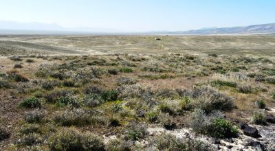 80 acres of Rolling Hills  only $49,000