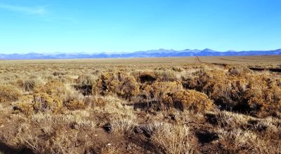 Recreational Camping Lots near Rio Grande River - Several to choose from