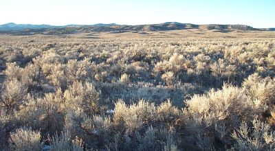 80 acres of wide open spaces Eastern Nevada
